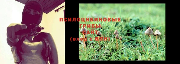 a pvp Алексеевка