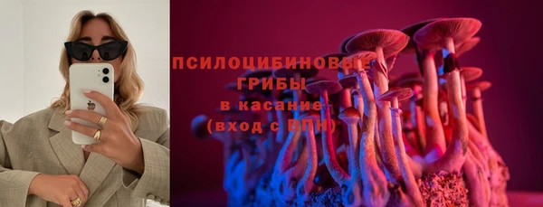 твердый Арсеньев