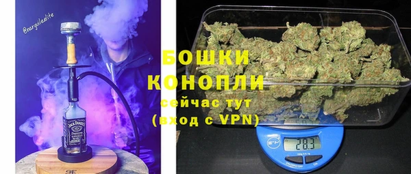 твердый Арсеньев