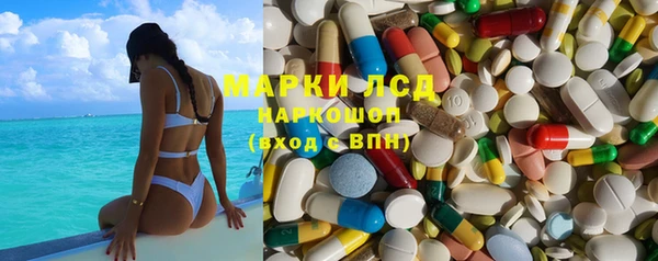 твердый Арсеньев